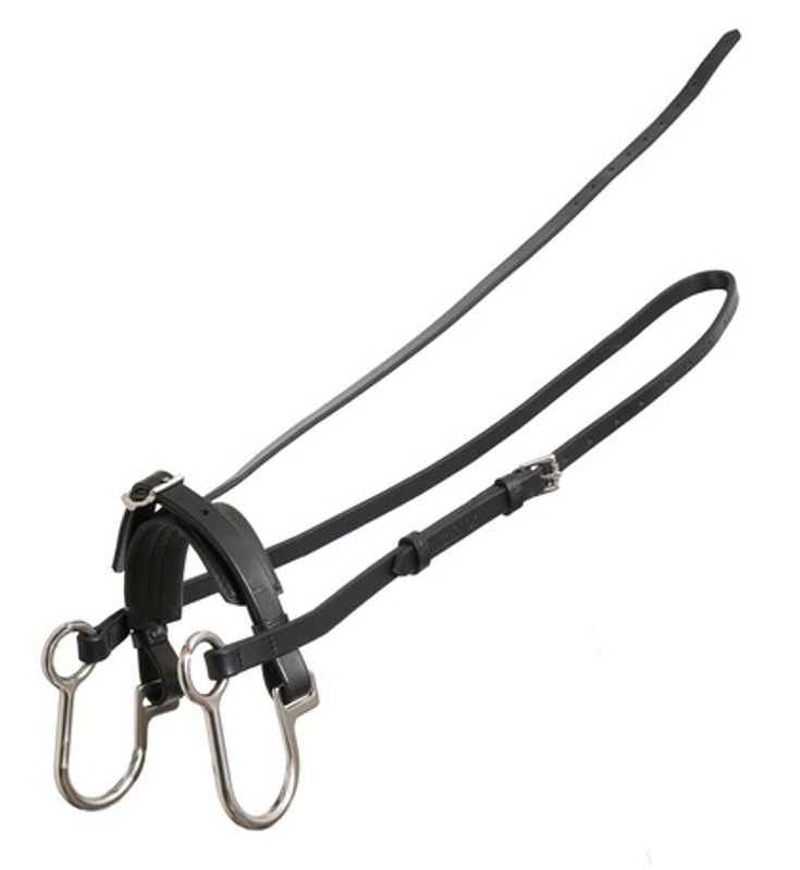 W - hackamore til trav