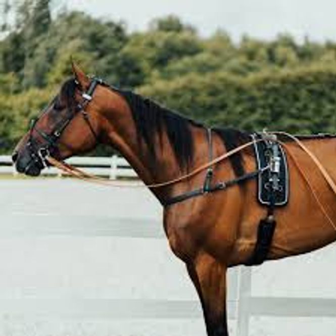 Hovedbilde FT QH komplett sele, 100% beta. - Sort