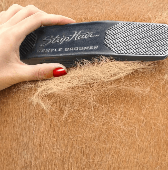 Hovedbilde Strip Hair sort
