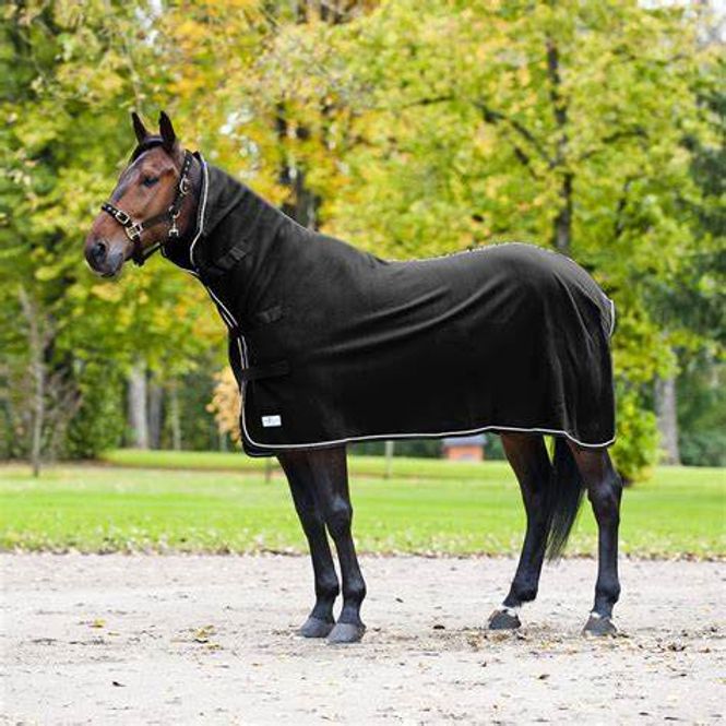 Hovedbilde FT Pro Highneck Cooler