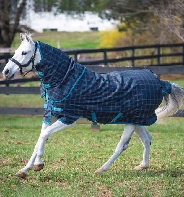 Hovedbilde HW Amigo Pony plus 50g.