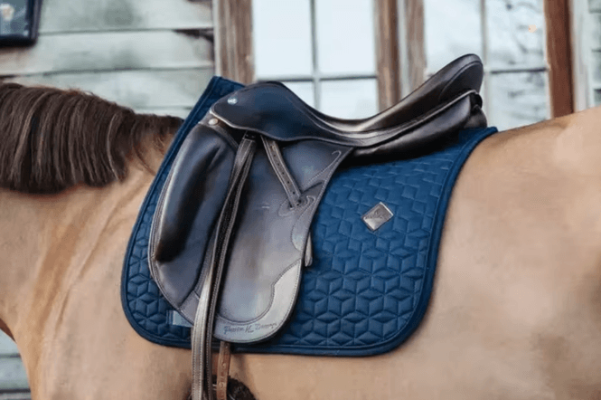 Hovedbilde Kentucky Basic Dressur Sjabrak