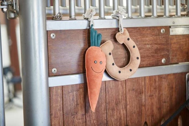 Hovedbilde HG Hesteleke Carrot