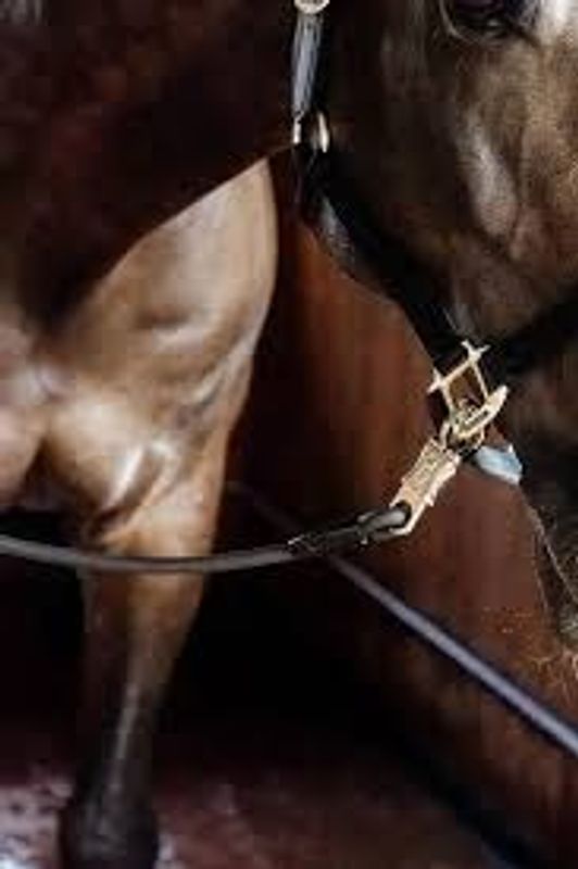 Kentucky Horse Box Lead & Cross tie silikon