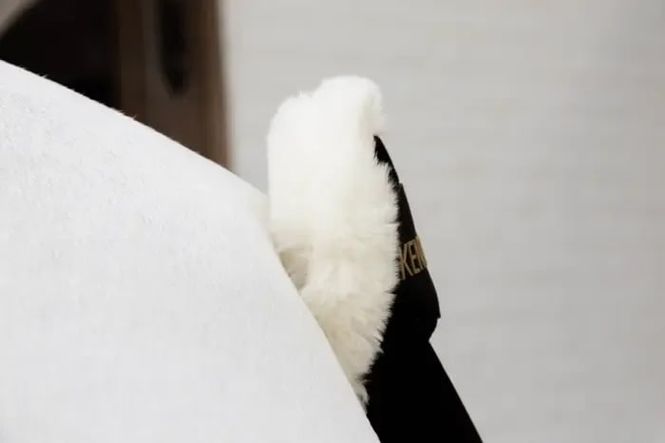 Hovedbilde Kentucky sheepskin Halebeskytter, sort. 