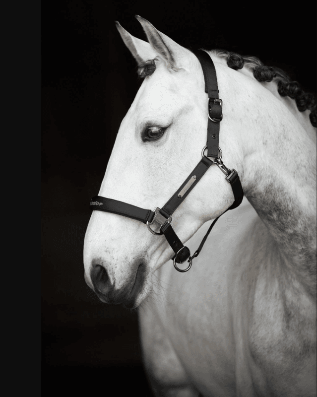 Grime Protector Duster