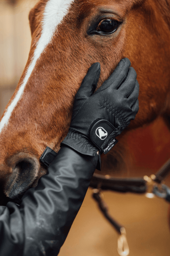 utstyr til rytteren og kusken