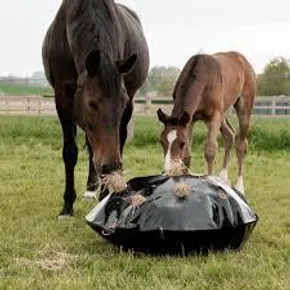 høynett of foring til hest og ponni